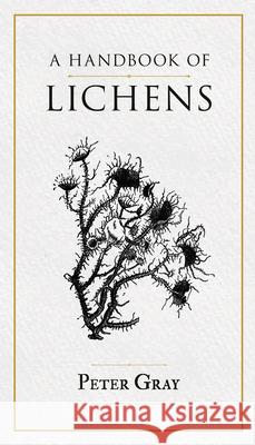 A Handbook of Lichens Peter Gray 9781528724685 Thousand Fields - książka