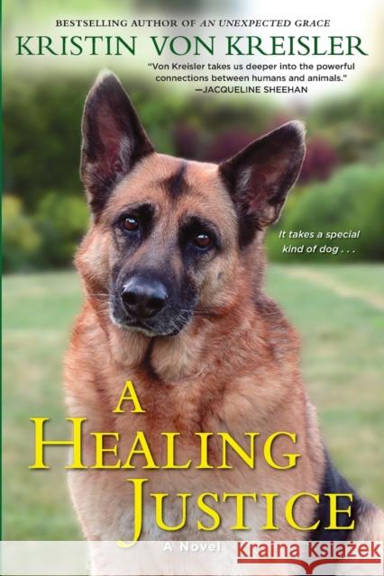 A Healing Justice Kristin Vo 9781496700452 Kensington Publishing Corporation - książka
