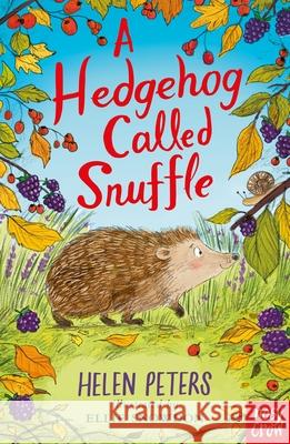 A Hedgehog Called Snuffle Helen Peters 9781839945052 Nosy Crow Ltd - książka