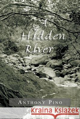 A Hidden River Anthony Pino 9781479739585 Xlibris Corporation - książka