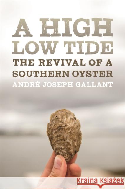 A High Low Tide: The Revival of a Southern Oyster Andre Joseph Gallant Rinne Allen 9780820354507 University of Georgia Press - książka