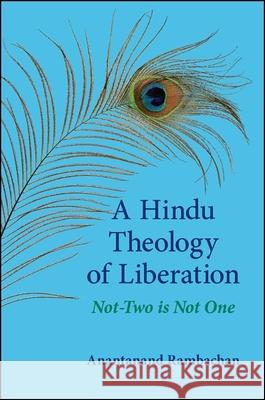 A Hindu Theology of Liberation: Not-Two Is Not One Anantanand Rambachan 9781438454566 State University of New York Press - książka