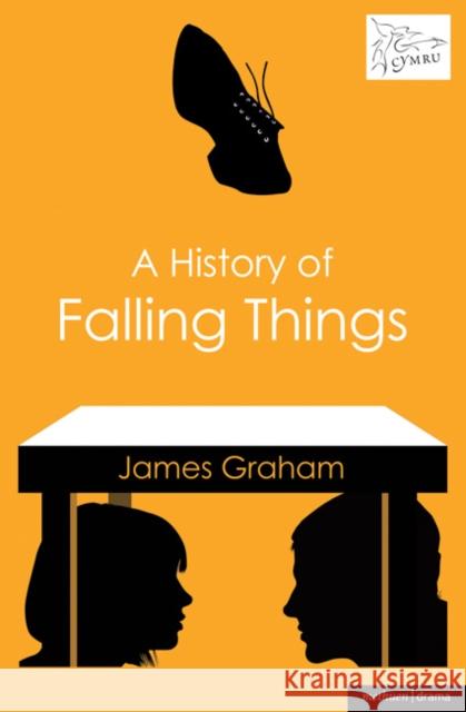 A History of Falling Things James Graham 9781408122907  - książka