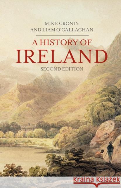 A History of Ireland Mike Cronin 9781403948304 Palgrave MacMillan - książka