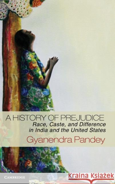 A History of Prejudice Pandey, Gyanendra 9781107029002  - książka