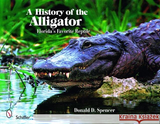 A History of the Alligator: Florida's Favorite Reptile Donald D. Spencer 9780764330834 Schiffer Publishing Ltd - książka