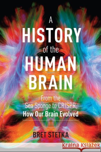A History of the Human Brain: From the Sea Sponge to CRISPR, How Our Brain Evolved Bret Stetka 9781604699883 Workman Publishing - książka