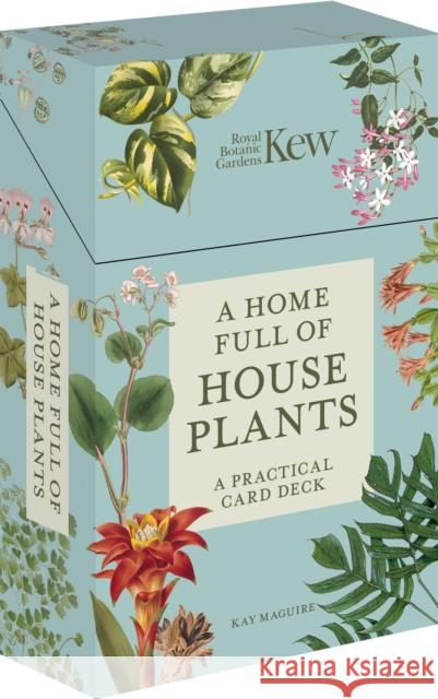 A Home Full of House Plants Kay Maguire 9780711290365 Frances Lincoln Publishers Ltd - książka