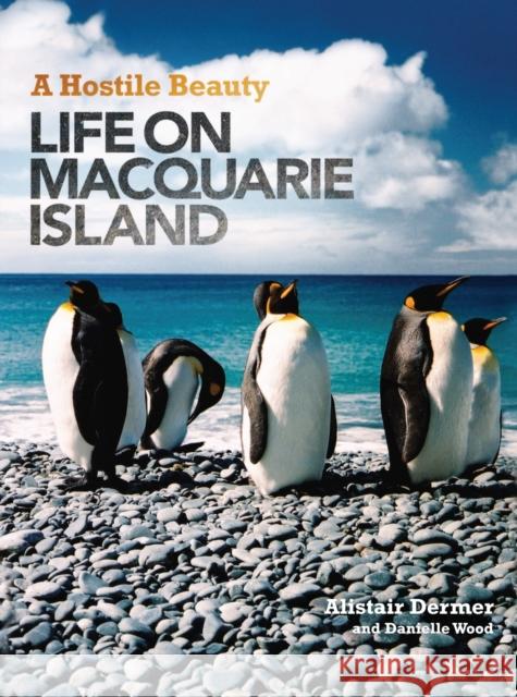 A Hostile Beauty: Life on Macquarie Island Dermer, Alistair 9780522855043 Melbourne University - książka