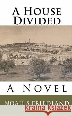 A House Divided Noah S. Friedland 9781449976798 Createspace - książka