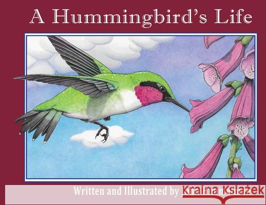 A Hummingbird's Life John Himmelman, John Himmelman 9781956381153 Mazo Publishers - książka