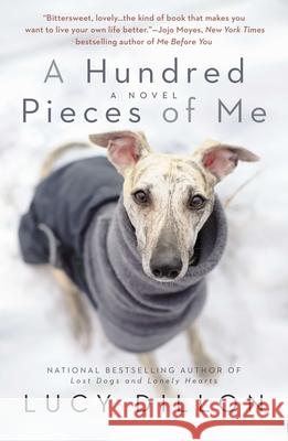 A Hundred Pieces of Me Lucy Dillon 9780425276730 Berkley Publishing Group - książka