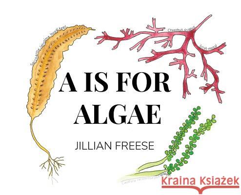 A is for Algae Jillian Freese 9780692138960 Jillian Freese - książka