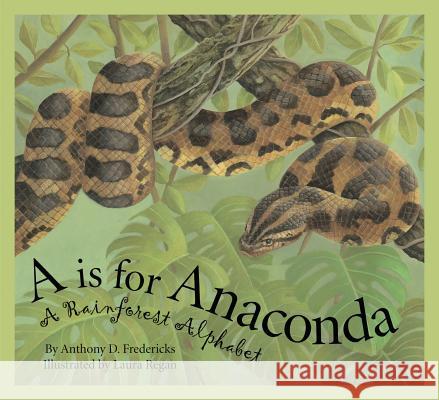 A is for Anaconda: A Rainforest Alphabet Anthony Fredericks 9781585363179 Sleeping Bear Press - książka