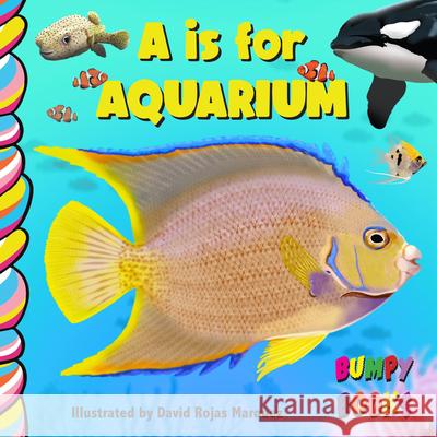 A is for Aquarium Jennifer Sutoski David Rojas Marquez 9781834040561 Taffy Tales - książka