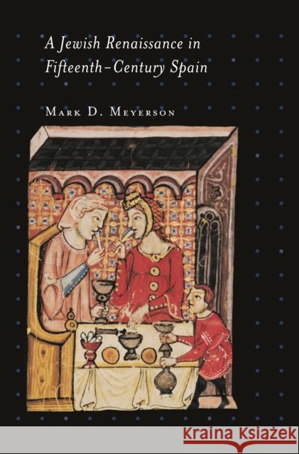 A Jewish Renaissance in Fifteenth-Century Spain Mark D. Meyerson 9780691146591 Princeton University Press - książka