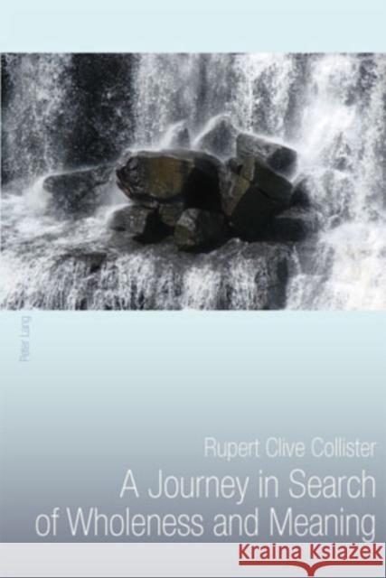 A Journey in Search of Wholeness and Meaning  9783034304900 Peter Lang AG, Internationaler Verlag der Wis - książka