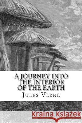 A Journey into the Interior of the Earth Malleson, Frederick Amadeus 9781503150522 Createspace - książka