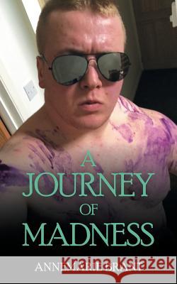 A Journey of Madness: Part 1 Annemarie Brant 9781728390765 Authorhouse UK - książka