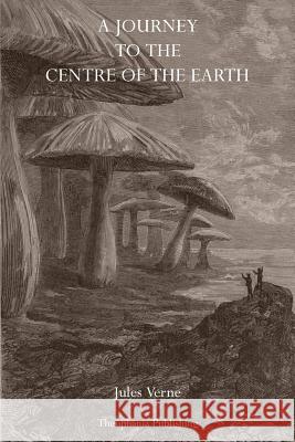 A Journey to the Center of the Earth Jules Verne 9781770831926 Theophania Publishing - książka