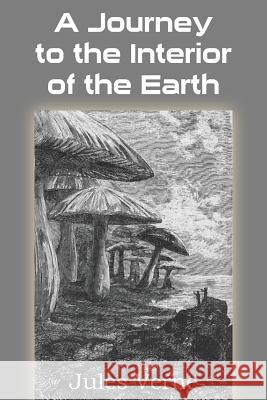 A Journey to the Interior of the Earth Jules Verne 9781483703039 Bottom of the Hill Publishing - książka