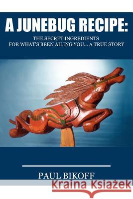 A Junebug Recipe: The Secret Ingredients for What's Been Ailing You... a True Story Bikoff, Paul 9781420812237 Authorhouse - książka