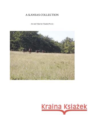 A Kansas Collection Claudia Provin 9781500166823 Createspace Independent Publishing Platform - książka