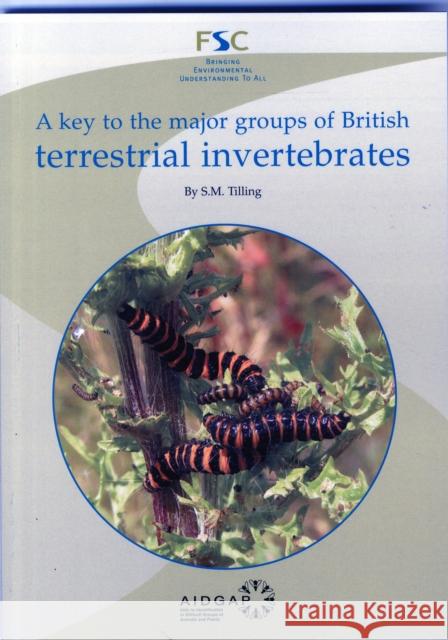 A Key to the Major Groups of Terrestrial Invertebrates S.M. Tilling 9781908819208 Field Studies Council - książka