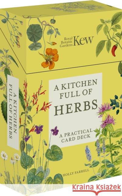 A Kitchen Full of Herbs Holly Farrell 9780711290372 Frances Lincoln Publishers Ltd - książka