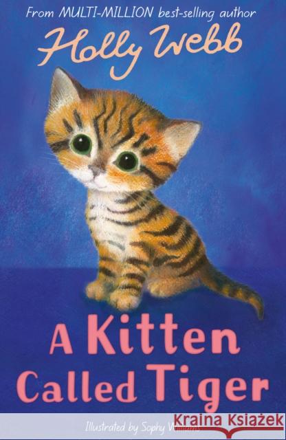 A Kitten Called Tiger Webb, Holly 9781847157881 Little Tiger Press Group - książka