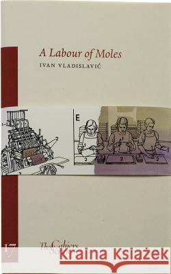 A Labour Of Moles: The Cahier Series 17 Ivan Vladislavic 9780956509284 Sylph Editions - książka