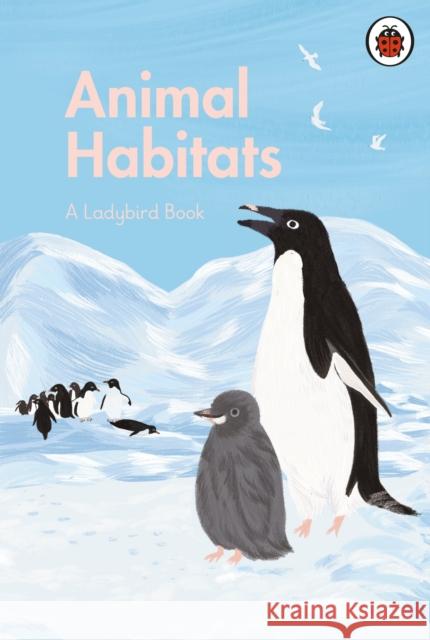 A Ladybird Book: Animal Habitats  9780241416860 Penguin Random House Children's UK - książka