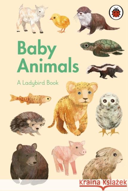 A Ladybird Book: Baby Animals  9780241416907 Penguin Random House Children's UK - książka