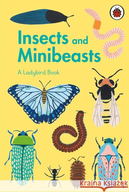 A Ladybird Book: Insects and Minibeasts  9780241417034 Penguin Random House Children's UK - książka