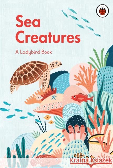 A Ladybird Book: Sea Creatures  9780241417072 Penguin Random House Children's UK - książka