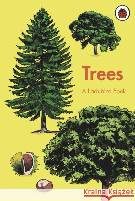 A Ladybird Book: Trees  9780241417218 Penguin Random House Children's UK - książka