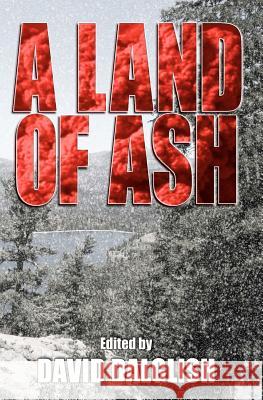 A Land of Ash David Dalglish David McAfee John Fitc 9781456376789 Createspace - książka