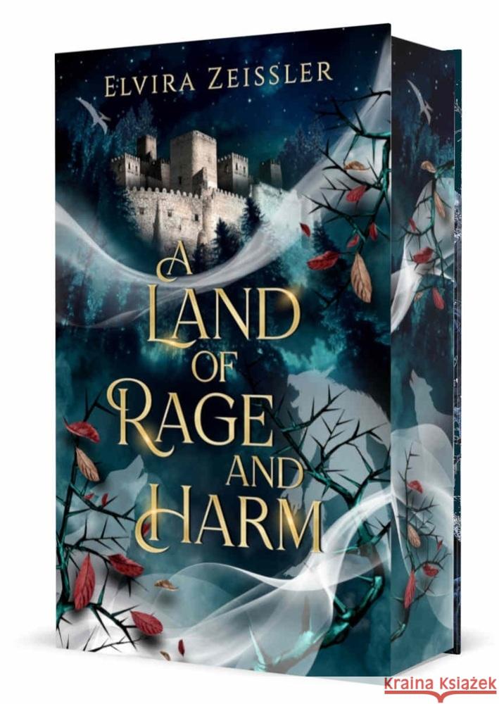 A Land of Rage and Harm Zeißler, Elvira 9783690282697 Nova MD - książka