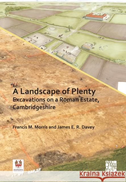 A Landscape of Plenty: Excavations on a Roman Estate, Cambridgeshire James E. R. Davey 9781805831037 Archaeopress Publishing - książka