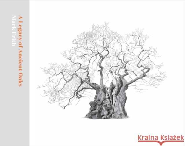 A Legacy of Ancient Oaks Mark Frith 9781842466674 Royal Botanic Gardens - książka