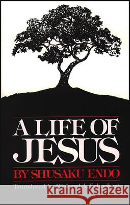 A Life of Jesus Shusaku Endo 9780809123193 Paulist Press International,U.S. - książka