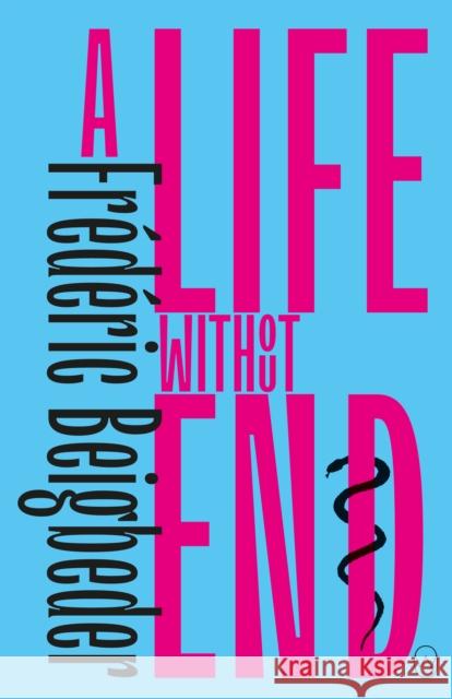 A Life Without End Frederic Beigbeder 9781912987085 World Editions Ltd - książka