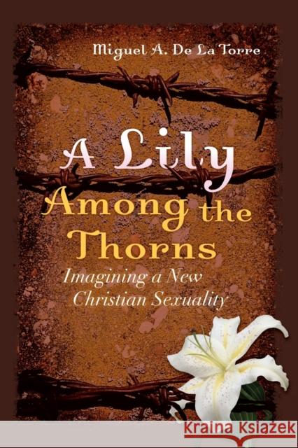 A Lily Among the Thorns: Imagining a New Christian Sexuality de la Torre, Miguel A. 9781118602409 Jossey-Bass - książka