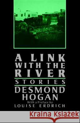 A Link with the River Desmond Hogan Louise Erdrich 9780374530037 Farrar Straus Giroux - książka