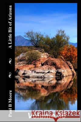 A Little Bit of Arizona: Volume 30 Paul B. Moore Paul Moore 9781720130529 Independently Published - książka