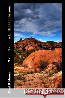 A Little Bit of Arizona: Volume 31 Paul B. Moore Paul Moore 9781720233213 Independently Published - książka