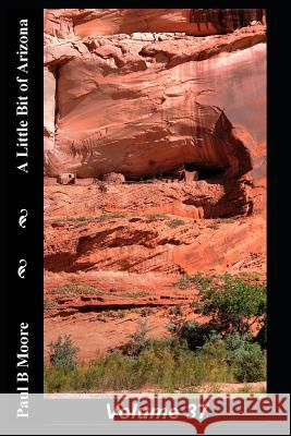 A Little Bit of Arizona: Volume 37 Paul B. Moore Paul Moore 9781726660709 Independently Published - książka