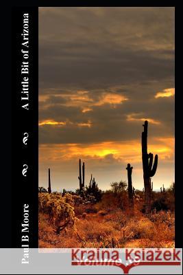 A Little Bit of Arizona: Volume 39 Paul B. Moore Paul Moore 9781728612577 Independently Published - książka