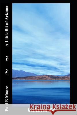 A Little Bit of Arizona: Volume 44 Paul B. Moore Paul Moore 9781793127365 Independently Published - książka