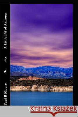 A Little Bit of Arizona: Volume 45 Paul B. Moore Paul Moore 9781099485862 Independently Published - książka